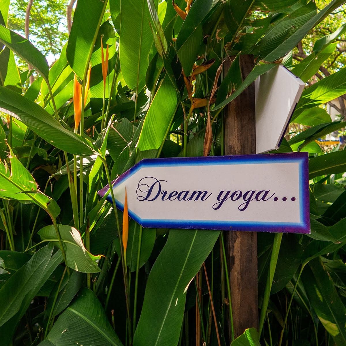 Hand-painted Dream Yoga sign pointing through the garden